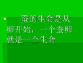 教科版（三起）科学三年级下册第二单元1《蚕卵里孵出的新生命PPT课件》