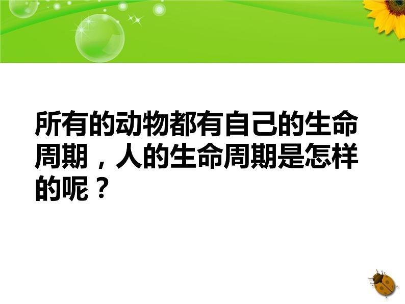 教科版（三起）科学三年级下册第二单元7、我们的生命周期(上课用) 课件01