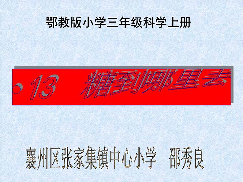 鄂教版（三起）科学三年级上册第二单元13、糖到哪里去了 课件07