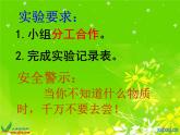 鄂教版（三起）科学三年级上册第二单元13、糖到哪里去了ppt