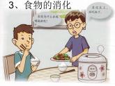 鄂教版（三起）科学三年级上册第一单元3、食物的消化-课件