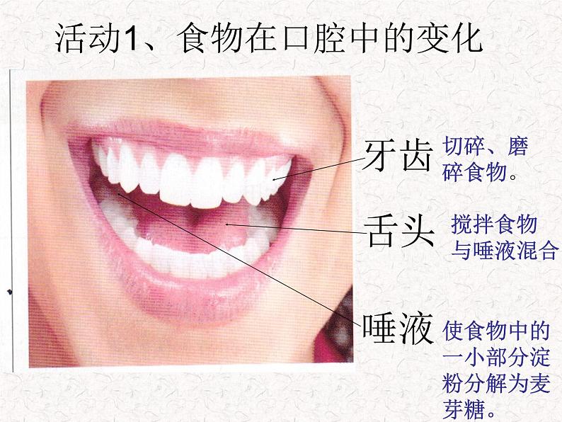 鄂教版（三起）科学三年级上册第一单元3、食物的消化-课件02