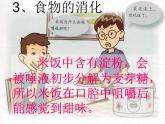 鄂教版（三起）科学三年级上册第一单元3、食物的消化-课件
