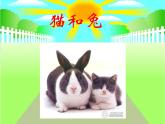 鄂教版（三起）科学三年级上册第四单元22《猫和兔》ppt