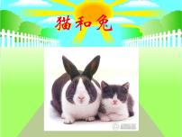 小学科学鄂教版三年级上册第四单元 家养小动物22 兔与猫图文课件ppt