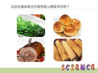 小学科学鄂教版三年级上册3 食物从哪里来图片课件ppt