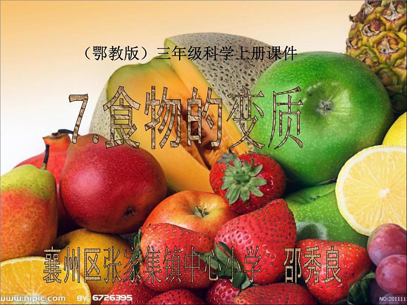 鄂教版（三起）科学三年级上册第一单元7、食物的变质 课件01