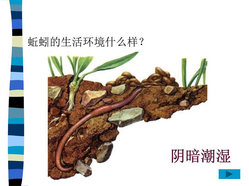 冀教版（三起）科学三年级上册4-蚯蚓 课件06