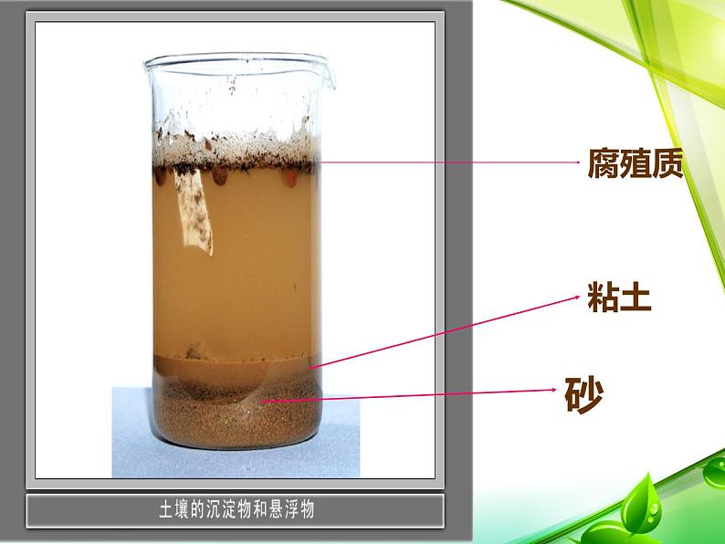 冀教版（三起）科学三年级上册6、观察土壤 课件PPT08