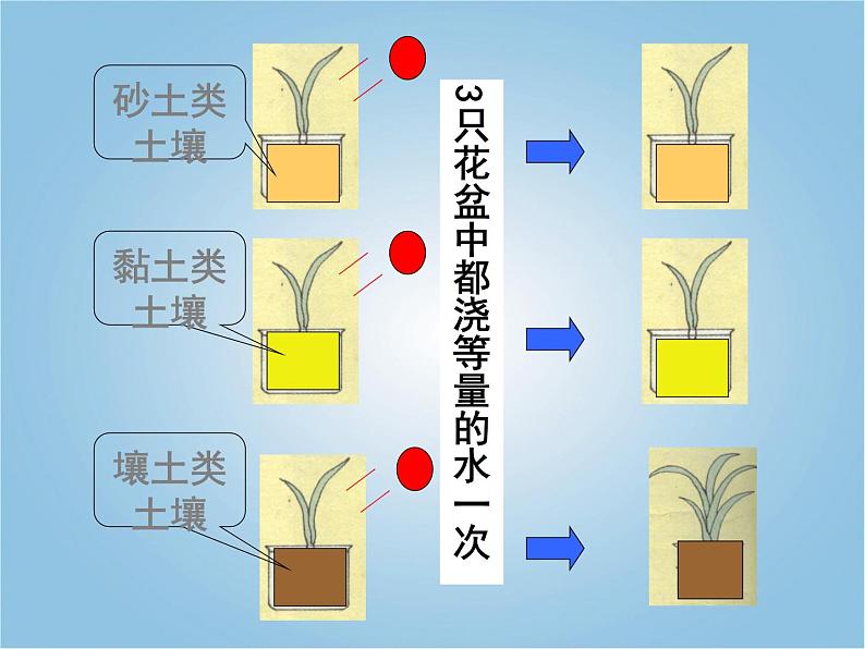 湘教版（三起）科学三年级上册第三单元2-土壤的种类 课件08