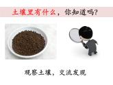教科版（2017秋）二年级上册科学第一单元2《土壤——动植物的乐园》 课件