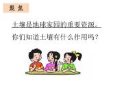 教科版（2017秋）二年级上册科学第一单元2《土壤——动植物的乐园》 课件