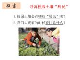 教科版（2017秋）二年级上册科学第一单元2《土壤——动植物的乐园》 课件