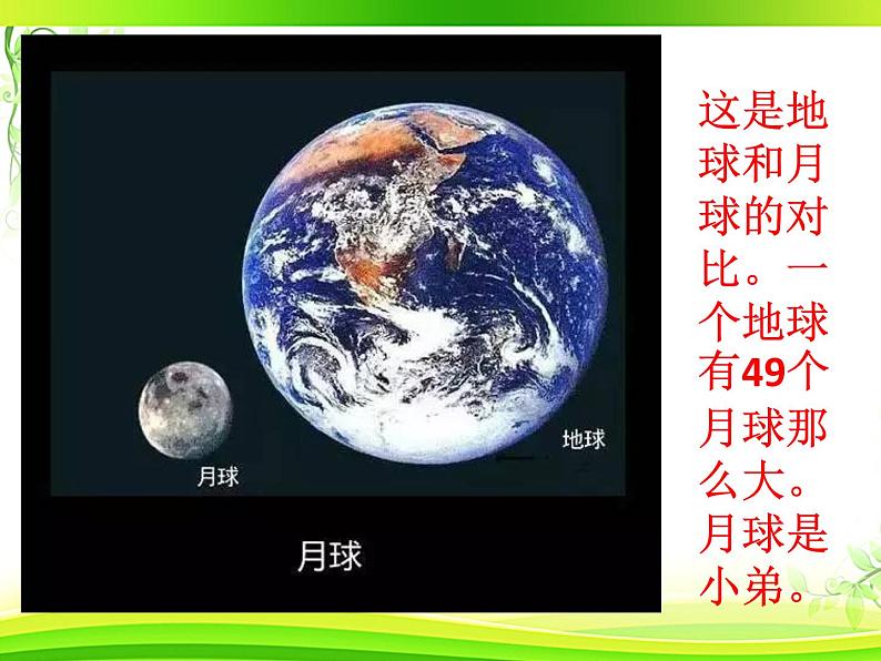 教科版（2017秋）二年级上册科学第一单元1、地球家园中有什么 课件03