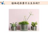 教科版（2017秋）二年级上册科学第一单元2《土壤——动植物的乐园》教学课件