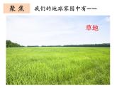 教科版（2017秋）二年级上册科学第一单元1《地球家园中有什么》课件
