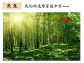 教科版（2017秋）二年级上册科学第一单元1《地球家园中有什么》课件