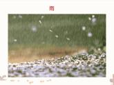 教科版（2017秋）二年级上册科学第一单元5-各种各样的天气-课件