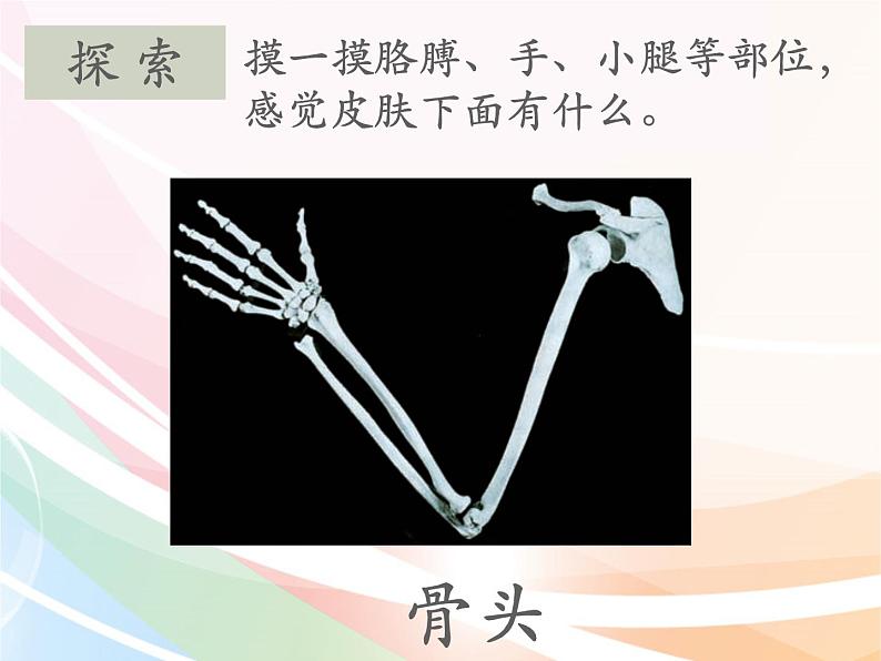 二年级下册科学课件最新教科版科学二年级下册课件1、观察我们的身体（精品课件）-教科版（2017秋）06