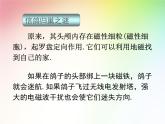 磁鐵和我們的生活PPT課件免費(fèi)下載