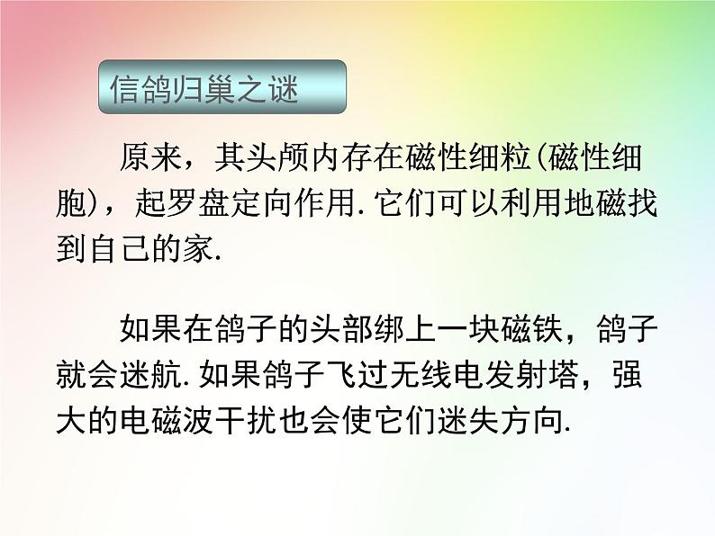 磁铁和我们的生活PPT课件免费下载03