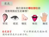 二年级下册科学课件最新教科版科学二年级下册课件2、通过感官来发现（精品课件）-教科版（2017秋）