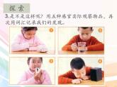 二年级下册科学课件最新教科版科学二年级下册课件2、通过感官来发现（精品课件）-教科版（2017秋）