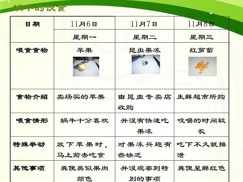 鄂教版（2017秋）二年级下册科学第三单元8《蜗牛》PPT课件06