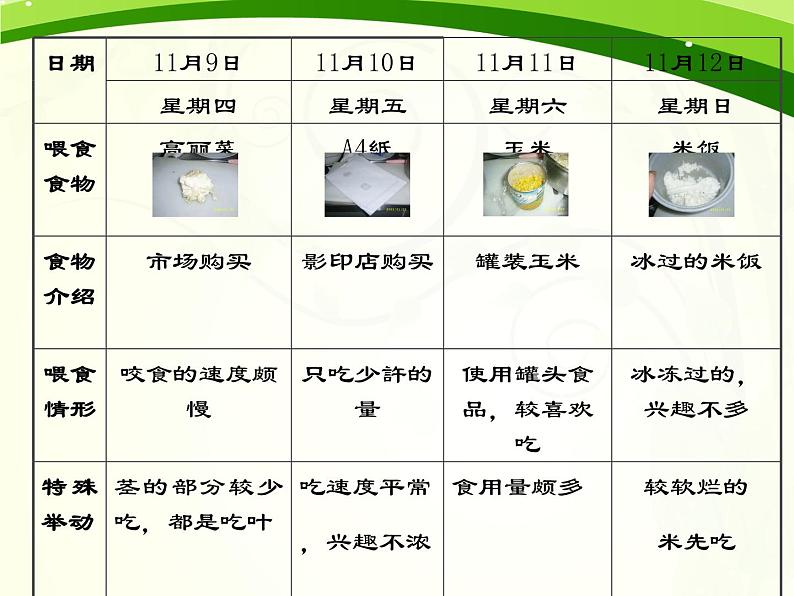 鄂教版（2017秋）二年级下册科学第三单元8《蜗牛》PPT课件07