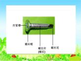 二年级下科学课件小学科学二年级下册《拧螺丝》PPT课件_苏教版（2017秋）