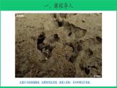 二年級下科學(xué)課件《尋訪土壤中的小動物》課件_蘇教版（2017秋）