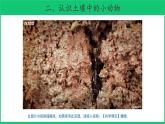 二年級下科學(xué)課件《尋訪土壤中的小動物》課件_蘇教版（2017秋）