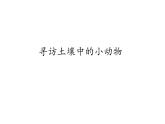 二年級下科學(xué)課件《尋訪土壤中的小動物》課件3_蘇教版（2017秋）