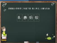 科学二年级下册8 养蚂蚁教学演示ppt课件