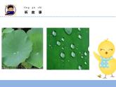 二年级下科学课件《神奇的新材料》课件1_苏教版（2017秋）