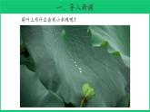 二年级下科学课件《神奇的新材料》课件2_苏教版（2017秋）