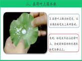 二年级下科学课件《神奇的新材料》课件2_苏教版（2017秋）