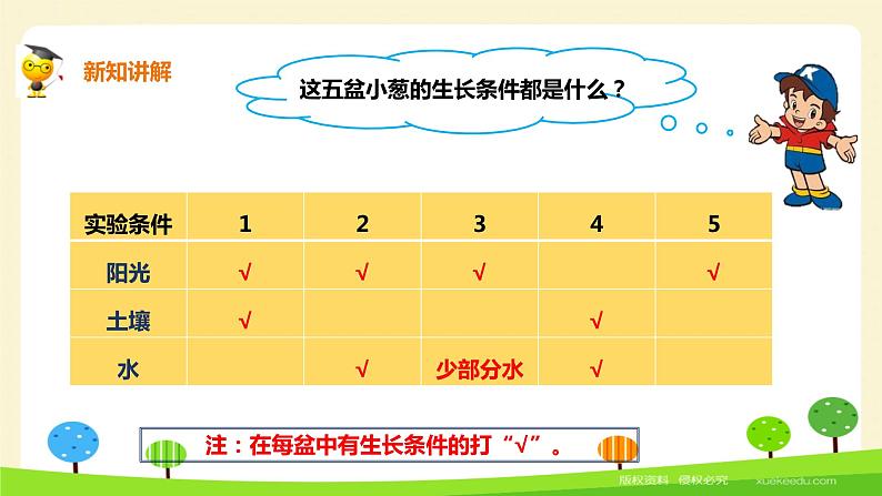 二年级下科学课件《栽小葱》课件1_苏教版（2017秋）06