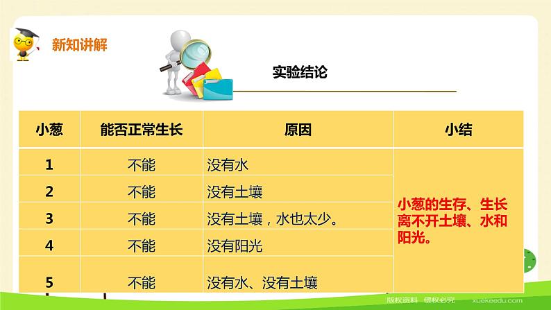 二年级下科学课件《栽小葱》课件1_苏教版（2017秋）07