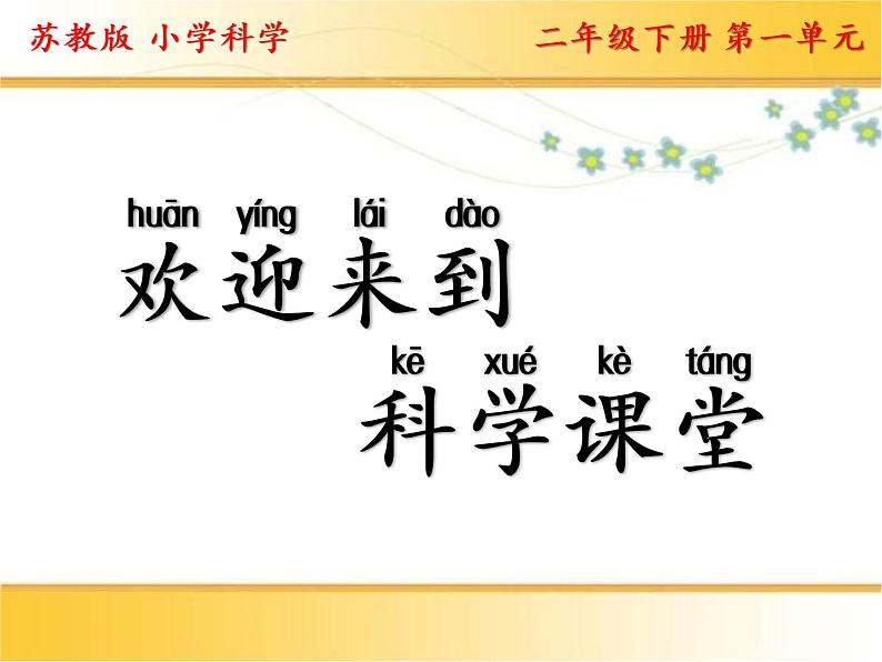 二年级下科学课件1.认识常见材料_苏教版（2017秋）第1页