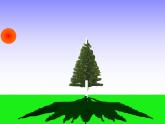 二年级科学上册第1单元我们的地球家园3太阳的位置和方向课件教科版