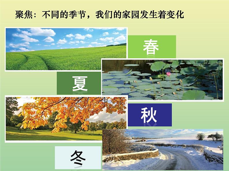 二年级科学上册第1单元我们的地球家园6不同的季节课件教科版第3页