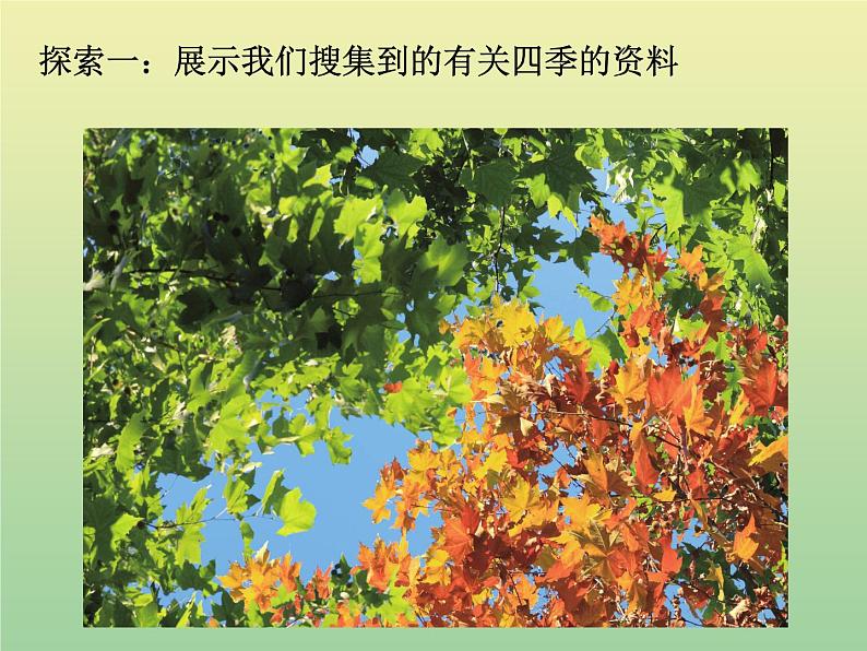 二年级科学上册第1单元我们的地球家园6不同的季节课件教科版第4页