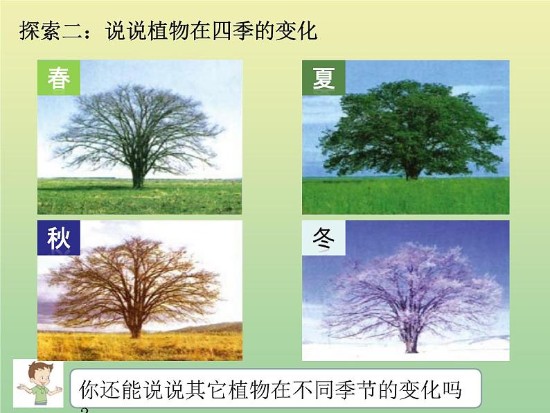 二年级科学上册第1单元我们的地球家园6不同的季节课件教科版第5页