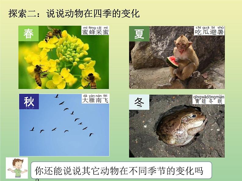 二年级科学上册第1单元我们的地球家园6不同的季节课件教科版第6页