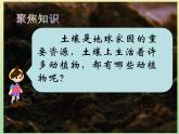 二年级科学上册第1单元我们的地球家园2土壤_动植物的乐园课件教科版