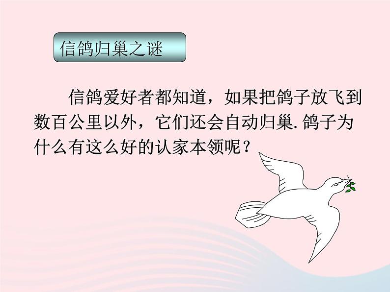 二年级科学下册第一单元磁铁7磁铁和我们的生活课件教科版第2页