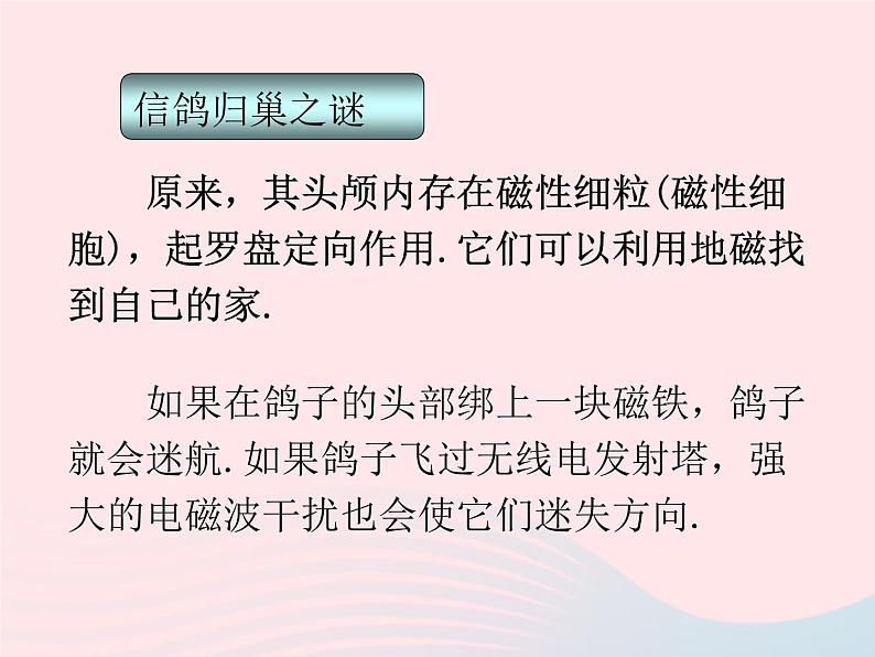 二年级科学下册第一单元磁铁7磁铁和我们的生活课件教科版第3页