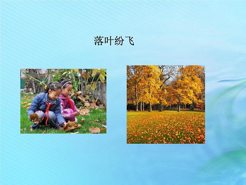 二年级科学上册秋和冬7秋天到了课件冀教版第7页