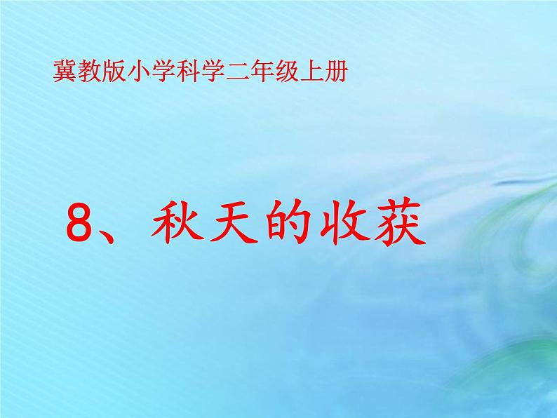 二年级科学上册秋和冬8秋天的收获课件冀教版第1页